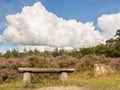 Bench in heathland and dramatic sky