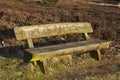 Bench into heathland in spring