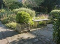 Bench in a Herb Garden
