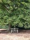 A bench in a Highclare Castle garden Royalty Free Stock Photo