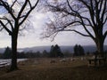 Bench on the hill Royalty Free Stock Photo