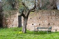 Bench invites you to line up at the Roman Forum, Rome, Italy, Eu