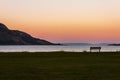 Bench and Island at Sunset. Holy Isle, Lamlash, Arran, Scotland.