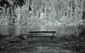 Bench on a Lacu Rosu lake at Romania. Royalty Free Stock Photo