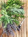 Bench laid with equipment and plants for making smudge sticks Royalty Free Stock Photo