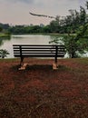 bench by the lake