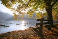 Bench on the lake