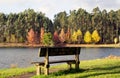 A bench by the lake in front of several trees in autumn.