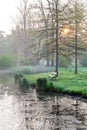 Bench and lake in the morning light, spring garden Stromovka