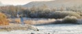 Bench, landscape and forest with trees or winter on frozen morning for weather, climate and cold season. Denmark, nature Royalty Free Stock Photo