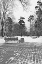 Bench and lanterns in winter park black and white Royalty Free Stock Photo