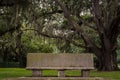 Bench in Live Oak Grove Royalty Free Stock Photo