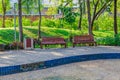 Bench in the local park