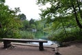 Bench Looking into Green Lake and Calming Scenery