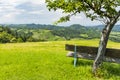 Bench on meadow with view to south styrian wine route