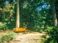 Bench at Mercer Arboretum