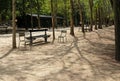 Bench and metal chairs in the park. Deserted park Royalty Free Stock Photo