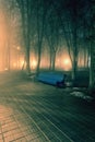 Bench in misty city park at night