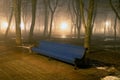Bench In Misty City Park At Night