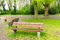 Bench nature park spacious Royalty Free Stock Photo