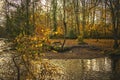 Bench near the river in a autumn landscape fall melancholic