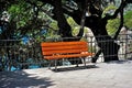 Bench near the water in the park on a sunny day Royalty Free Stock Photo