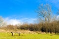 Bench on the North Downs