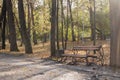 A bench in an old city autumnal park