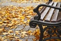 Bench in outdoor park. Park bench surrounded by autumn yellow leaves Royalty Free Stock Photo