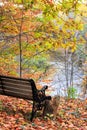 Bench overlooking the Betsie River in the fall.