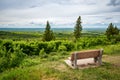 A bench overlooking Lookout Point in Cypress Hills Interprovincial Park