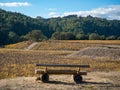 Bench overlooking wine vineyard on sunny day