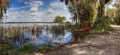 Bench overlooks the flooded swamp of Myakka River State Park