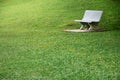 Bench In A Park