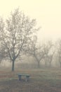 A bench in the park on a foggy autumn morning Royalty Free Stock Photo