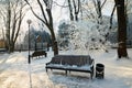 Bench in the park in icy cold frost. Royalty Free Stock Photo