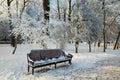 Bench in the park in icy cold frost. Royalty Free Stock Photo