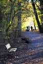 Bench in park Kralingse Bos in Rotterdam in autumn Royalty Free Stock Photo