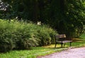 Bench in the park