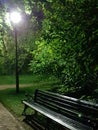 Bench in the park. Night time.