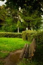A bench in a park Royalty Free Stock Photo