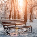 Bench in the park in the snow Royalty Free Stock Photo