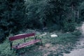 Bench in a park