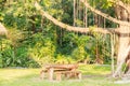 Bench in a park Royalty Free Stock Photo