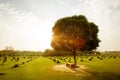 Bench in the park at sunset Royalty Free Stock Photo