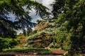 Bench in the Park among the tall conifers. Camping alone