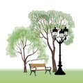 Bench in park with tree and streetlamp. City park landscape. V