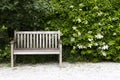 Bench in the park Royalty Free Stock Photo