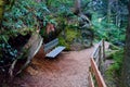 Bench on Path, Snoqualmie Forest Royalty Free Stock Photo