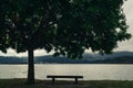 Bench in a peacefull park